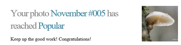 November 002