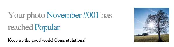 November 017