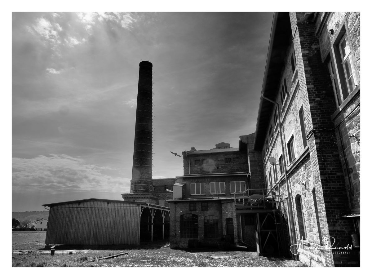 P4180210-Bearbeitet