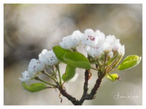 _4110002-Bearbeitet