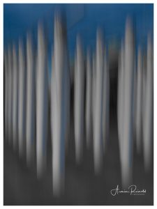 _5190008-Bearbeitet
