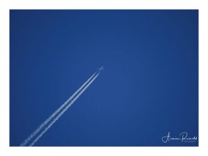 P5230154-Bearbeitet
