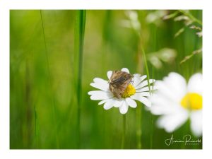 P5240390-Bearbeitet